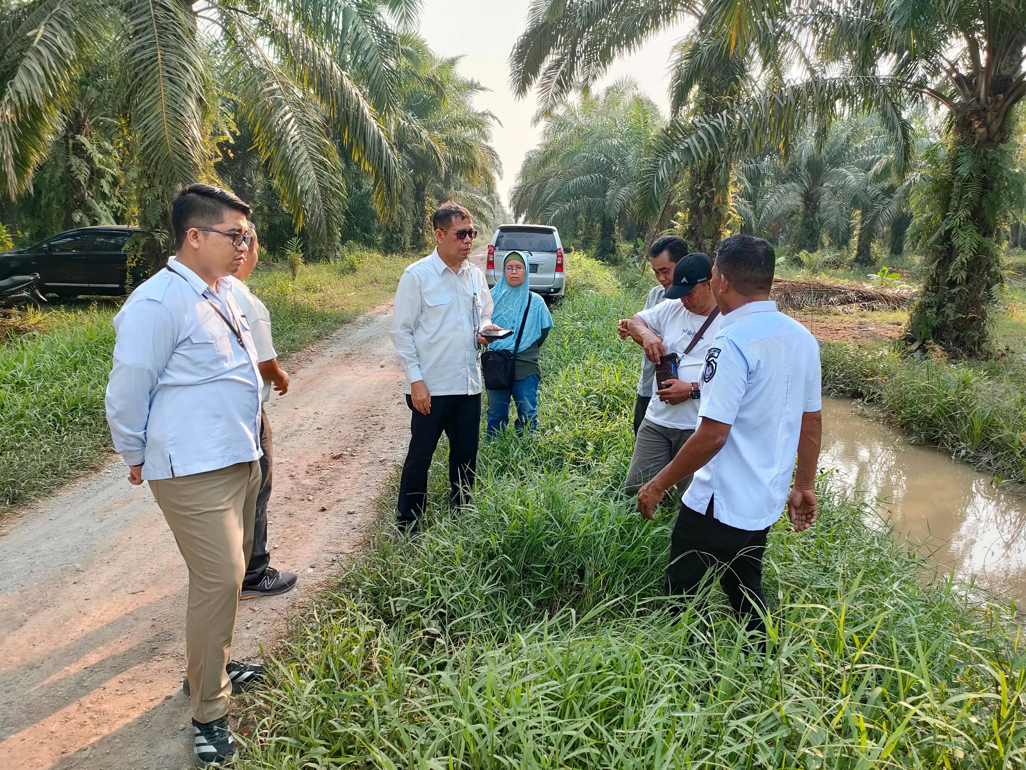 oplah kapus