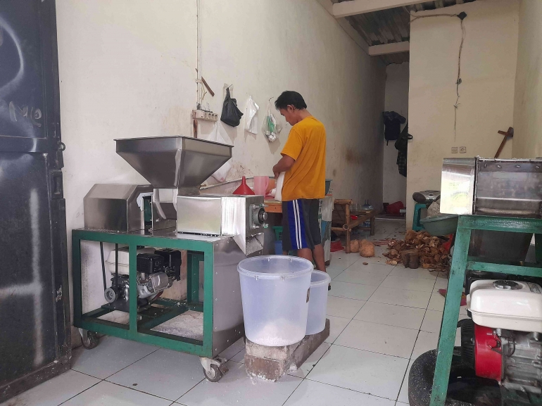usaha kelapa