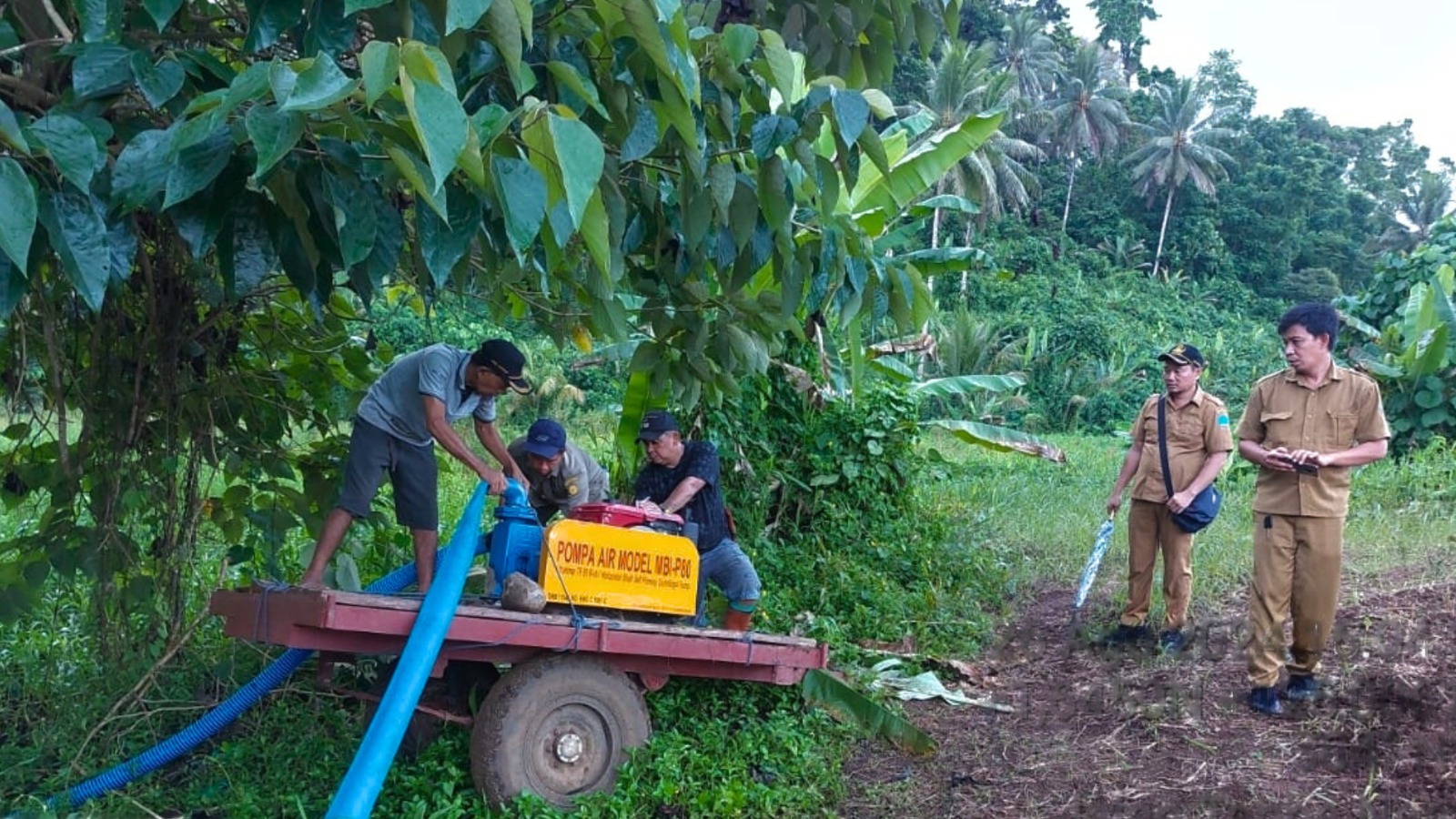 Pompanisasi Padi Gogo