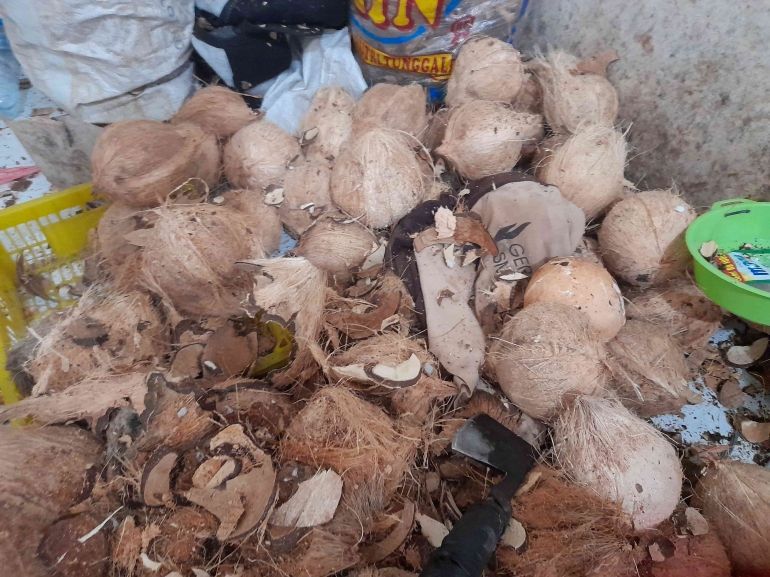 usaha kelapa
